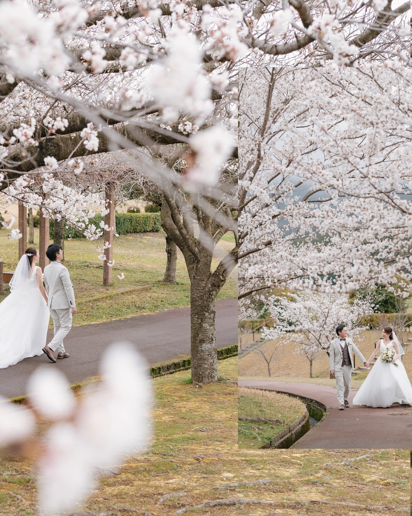 Wedding photo 4