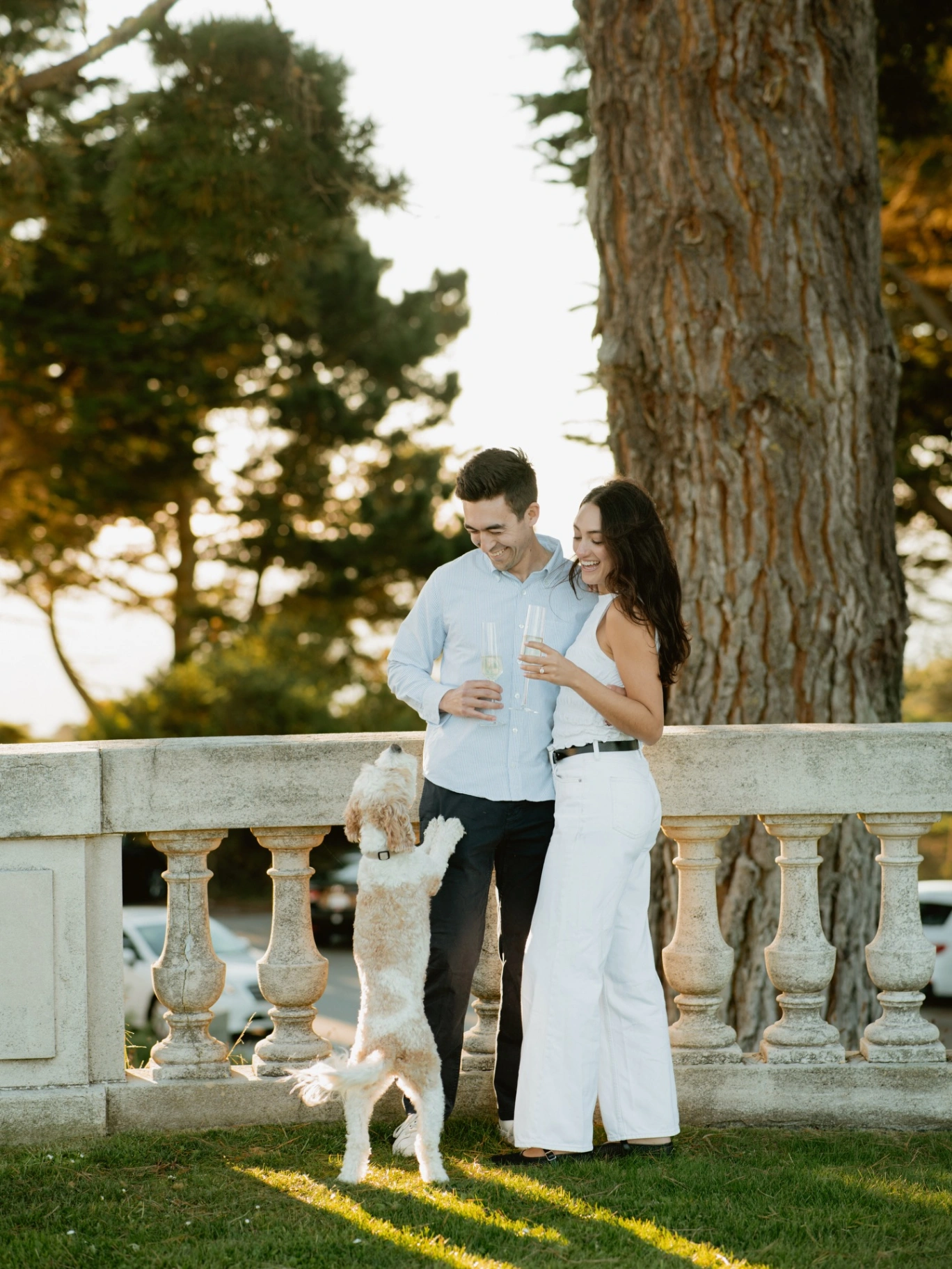 Wedding photo 3