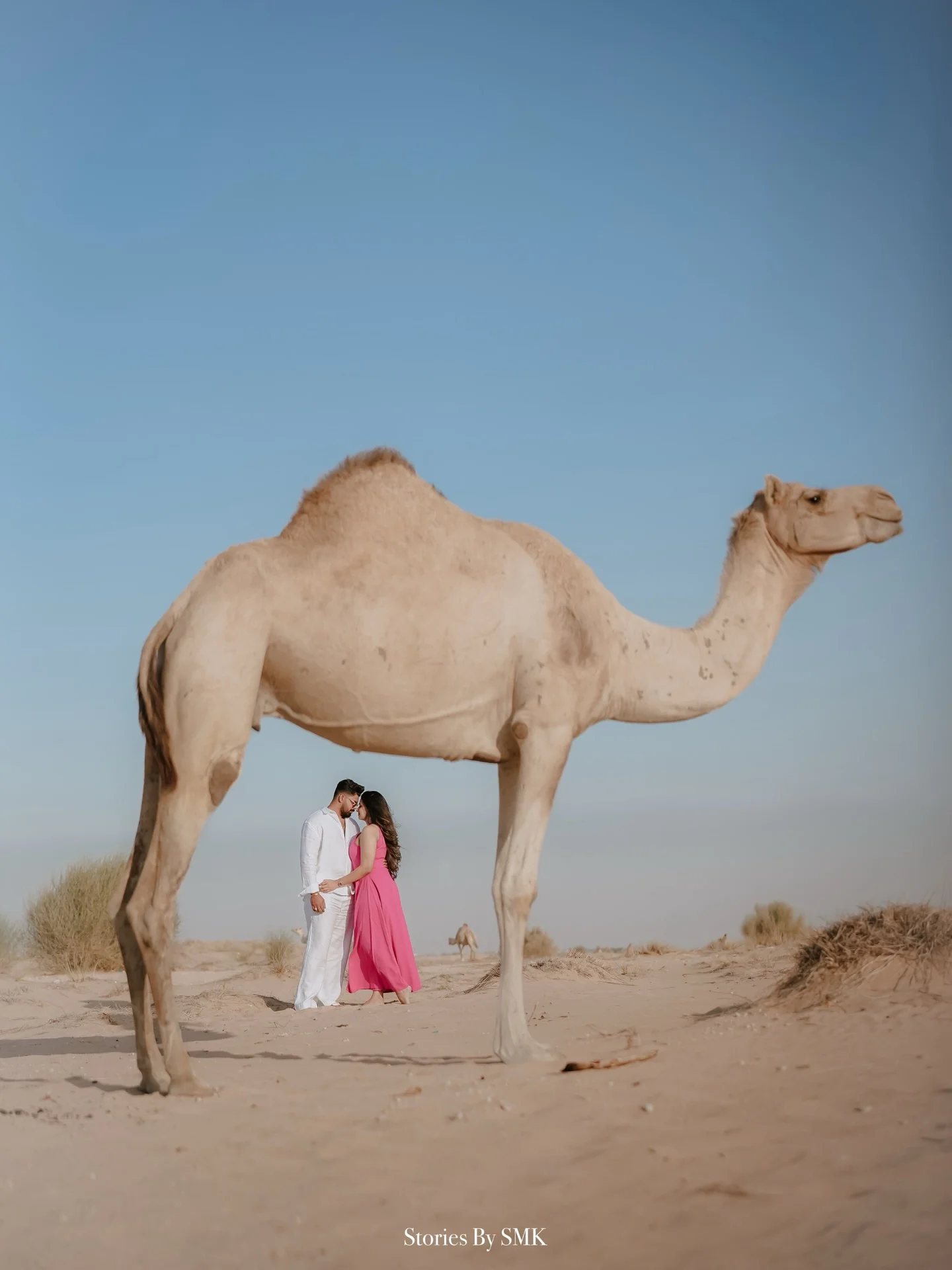 Wedding photo 2