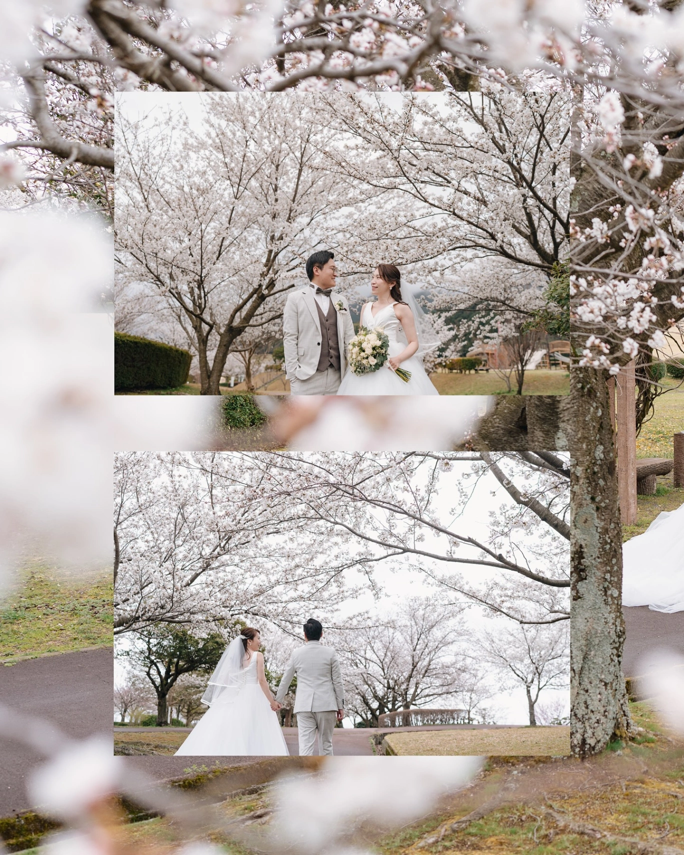 Wedding photo 2